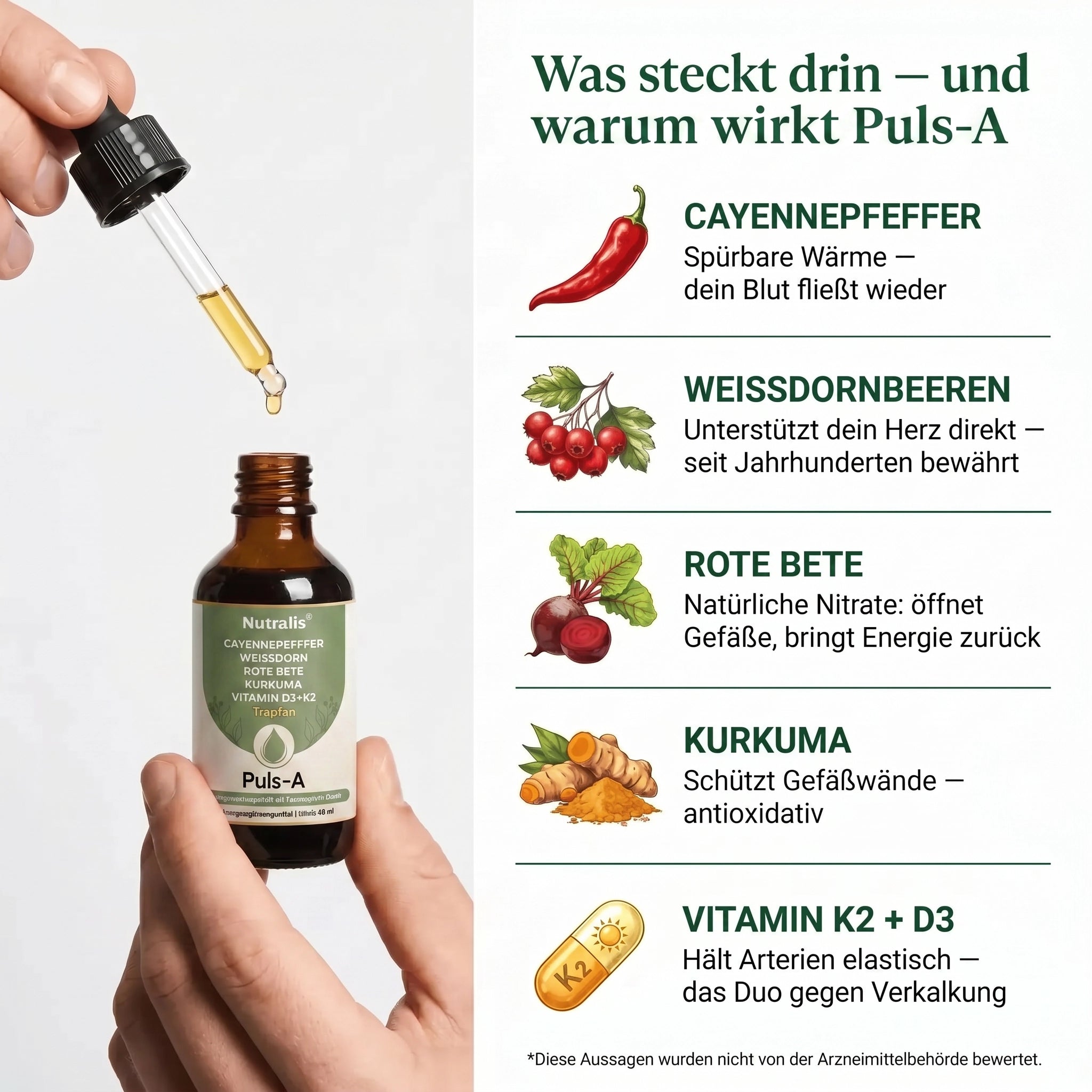 Puls-A (ehemals VascuFlow)